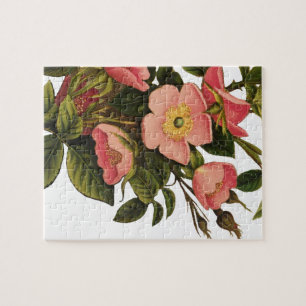 Puzzle Belle Botanique rose Rose vintage