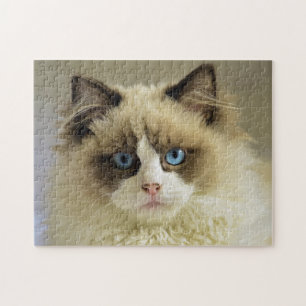 Puzzle Belle chatte de poupée avec yeux bleus