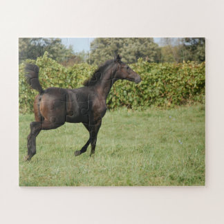 Puzzle Belle course de chevaux dans un champ