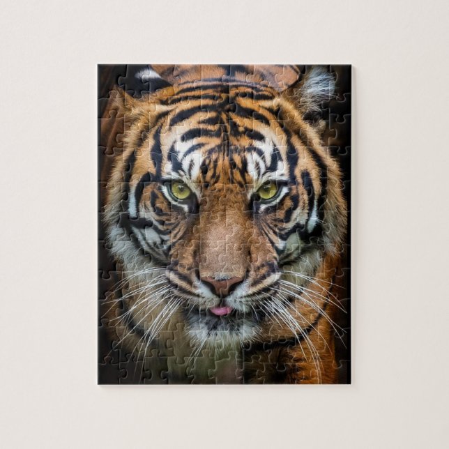 Puzzle Belle énigme tigre du Bengale (Vertical)