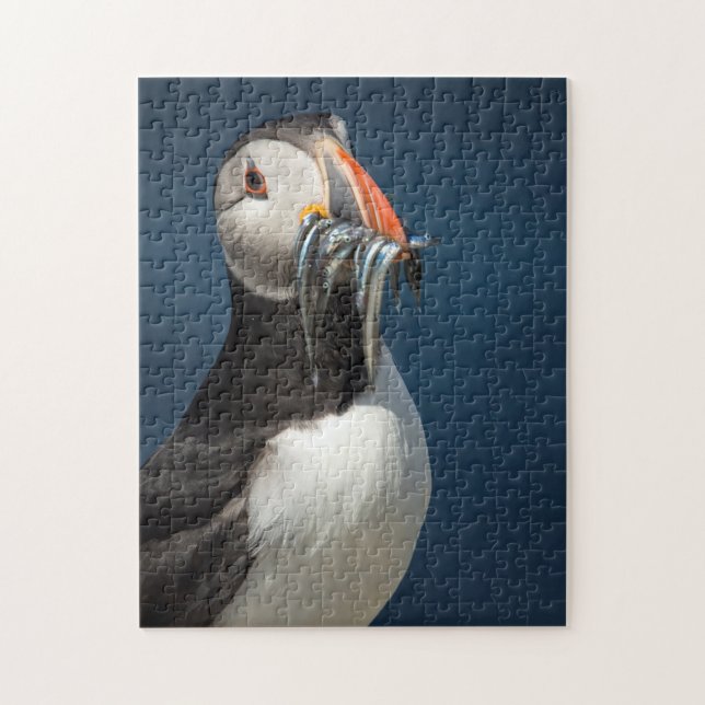 Puzzle Belle faune portrait d'oiseaux de macareux de l'oc (Vertical)