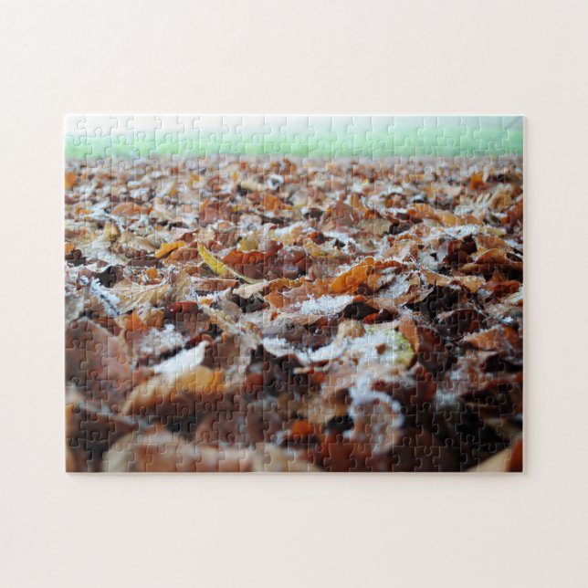 Puzzle Belle Frosty Automne Automne Feuilles Forêt Marche (Horizontal)