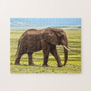 Puzzle Belle grande photo d'éléphant