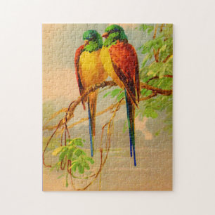 Puzzle belle impression d'oiseaux
