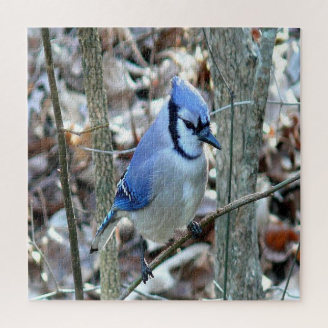 Puzzle Belle Jay Bleu (Vertical)