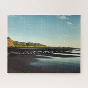 Puzzle Belle Karekare Beach Shore Photo