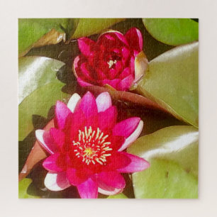 Puzzle Belle Lys d'eau rose foncé, Fleur de Lotus