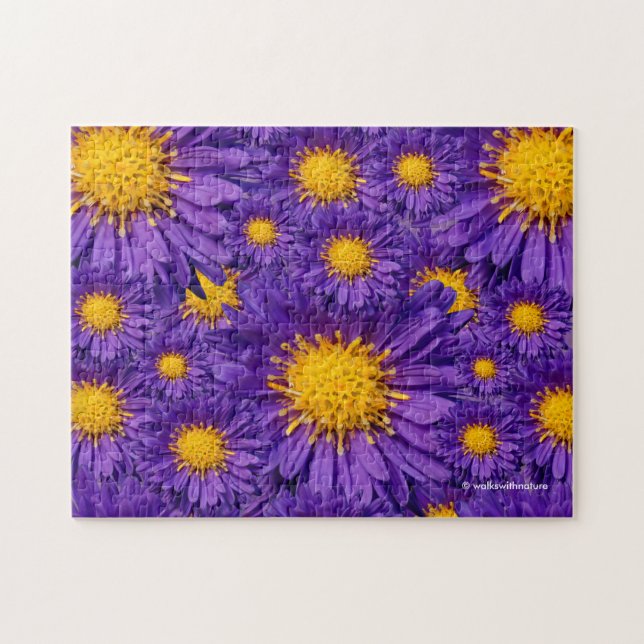 Puzzle Belle marguerite violette Michaelmas (Horizontal)