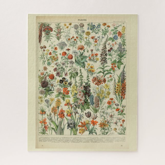 Puzzle Belle Millot Fleur Illistration Imprimer (Vertical)
