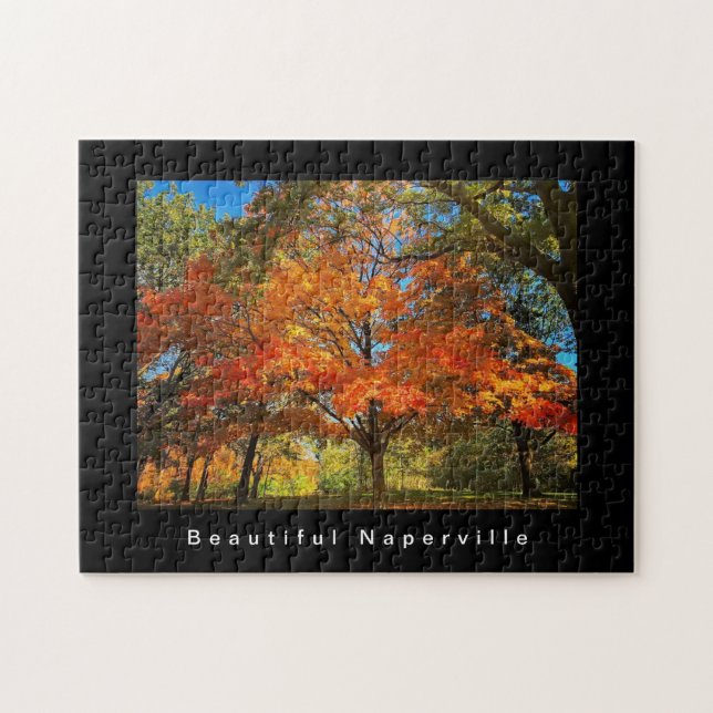 Puzzle Belle Naperville - Feuilles d'automne (Horizontal)