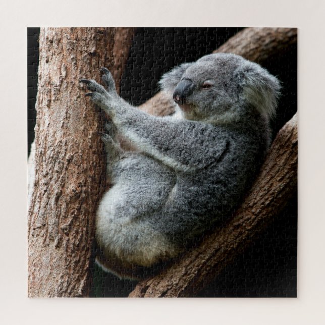 Puzzle Belle ours Koala dans un arbre (Vertical)
