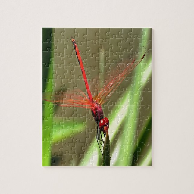 Puzzle Belle peinture acrylique de libellule de fût (Vertical)