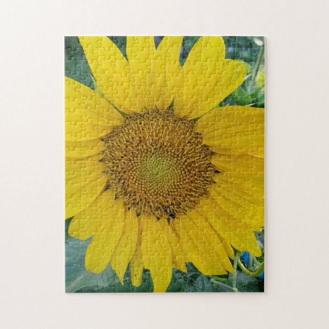 Puzzle Belle photo de tournesol (Vertical)