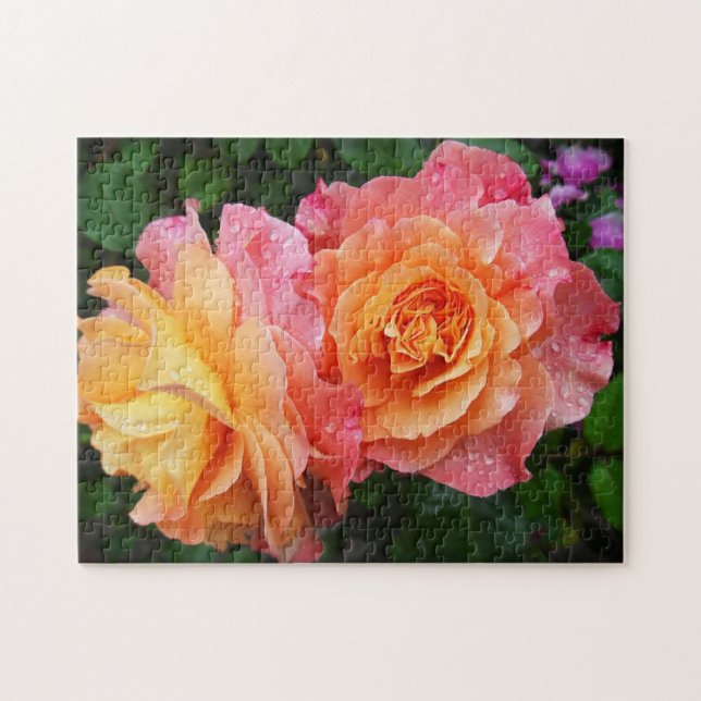 Puzzle Belle photo rose rose et orange (Horizontal)