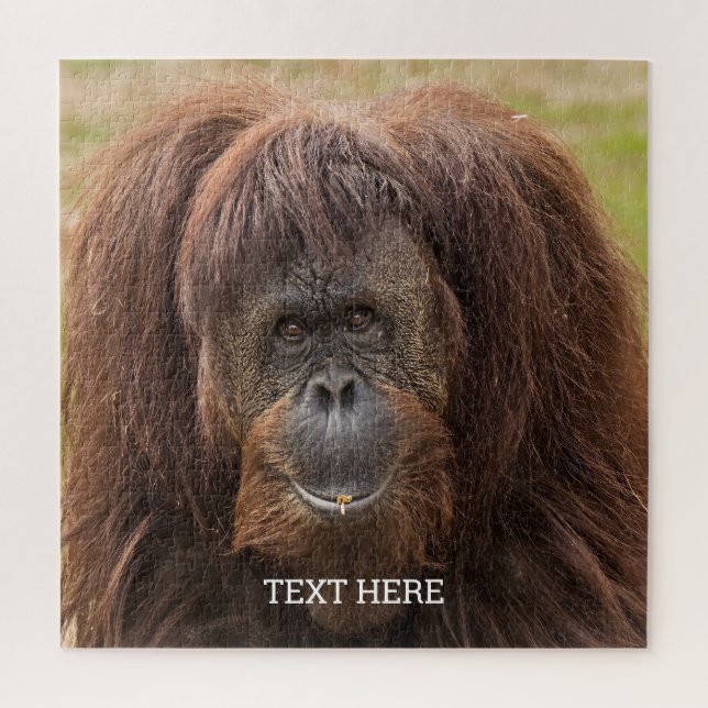 Puzzle Belle photographie de Borneo Orangutan (Vertical)