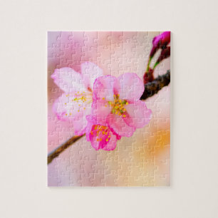 Puzzle Belle Sakura Cerry Blossoms Challenger