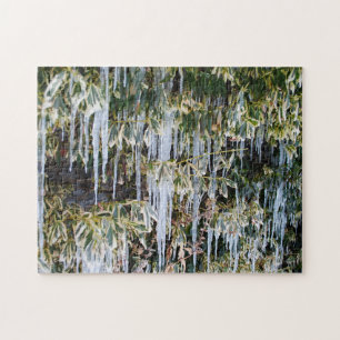 Puzzle Belles Branches D'Automne Frostées Icicle Feuille