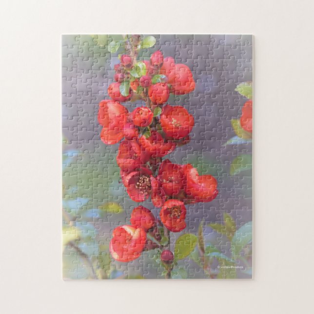 Puzzle Belles fleurs de coing rouge-orange (Vertical)