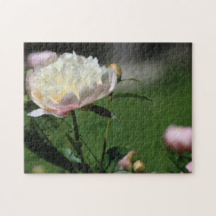 Puzzle Belles fleurs de pivoines blanches et roses en été