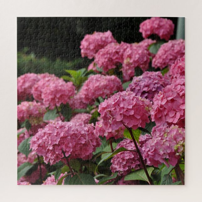 Puzzle Belles fleurs d'hortensia rose (Vertical)