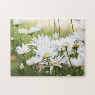 Puzzle Belles marguerites blanches   Fleurs en champ vert