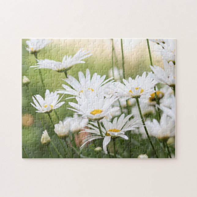 Puzzle Belles marguerites blanches | Fleurs en champ vert (Horizontal)