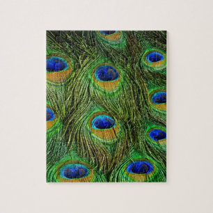 Puzzle Belles plumes de paon