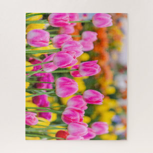 Puzzle Belles tulipes roses dans un jardin