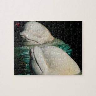 Puzzle Béluga Alaska
