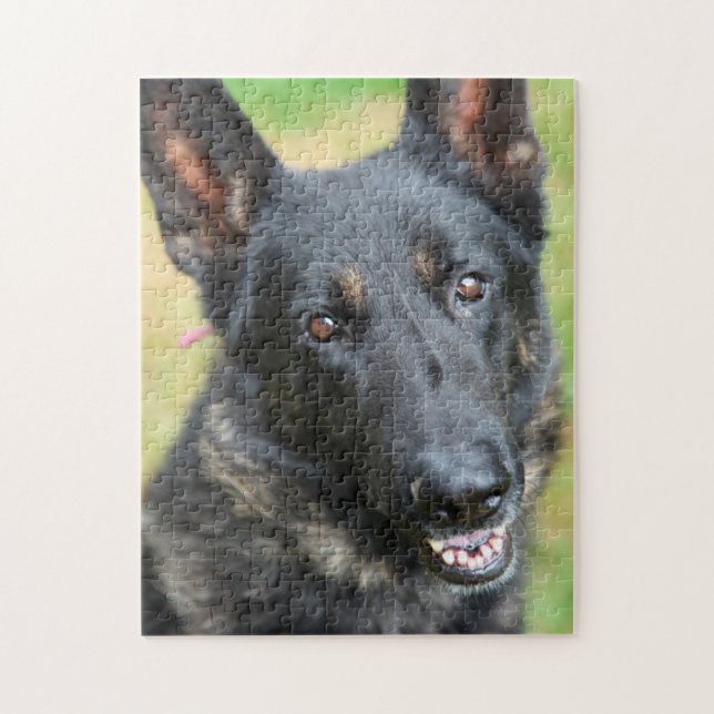Puzzle Berger allemand (Vertical)