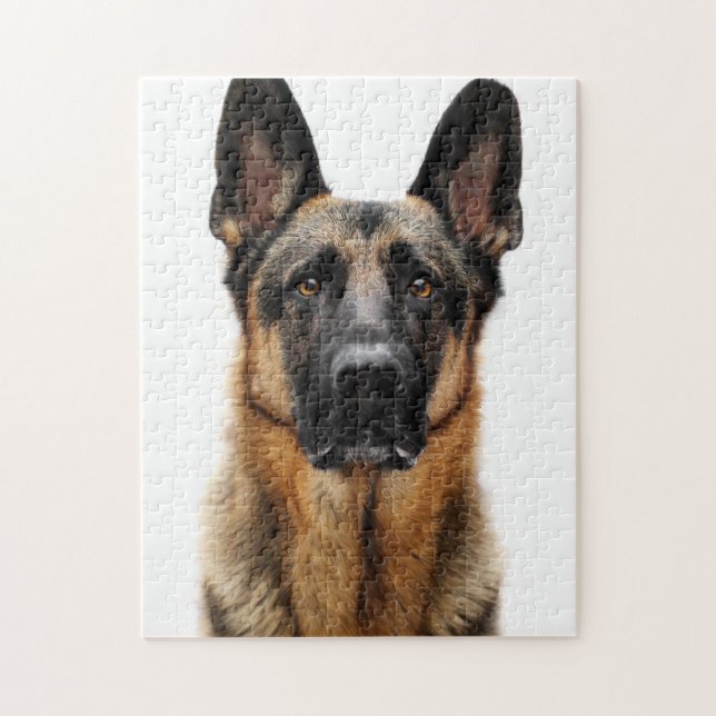 Puzzle Berger allemand assis (Vertical)