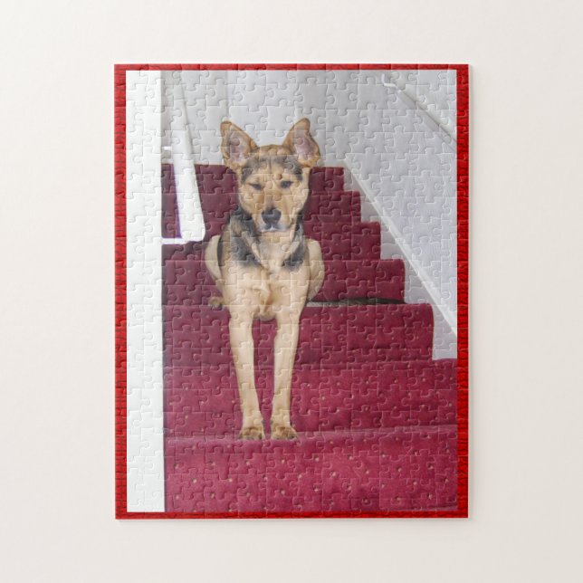 Puzzle Berger allemand sur escaliers (Vertical)