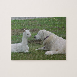 Puzzle Berger anatolien et Crie alpaga
