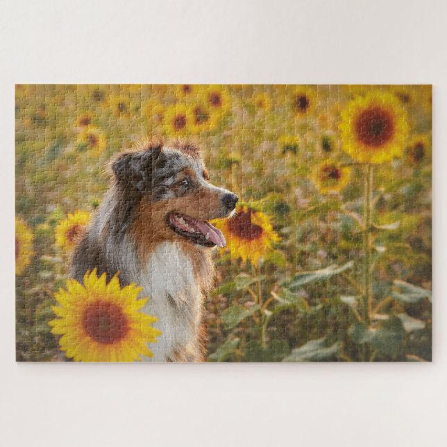 Puzzle Berger australien et tournesol (Horizontal)