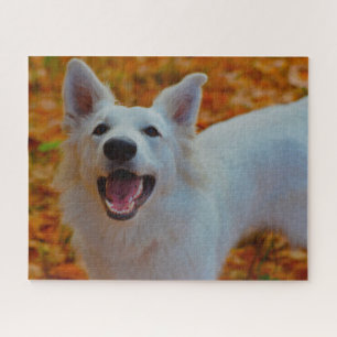 Puzzle Berger Blanc Suisse Jigsaws.