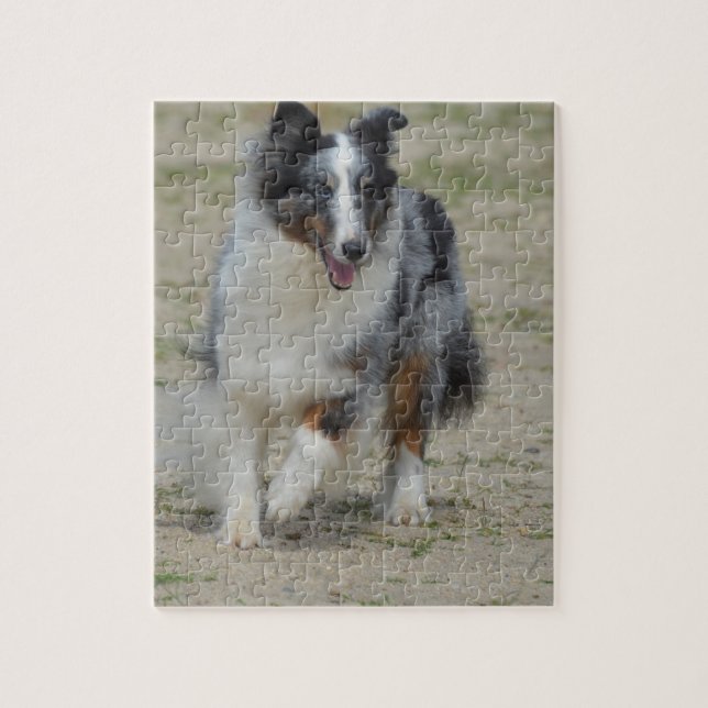 Puzzle Berger bleu d'Australien de Merle (Vertical)