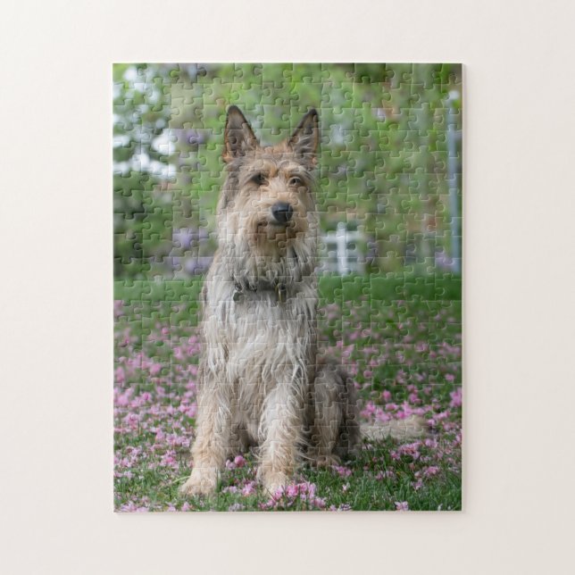 Puzzle Berger Picard (Vertical)