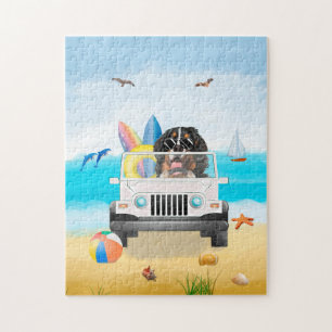Puzzle bernese mountain Dog Driving on Beach