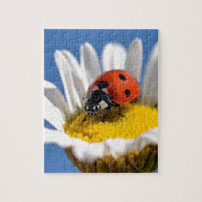 Puzzle Bestiole sur la marguerite (Vertical)