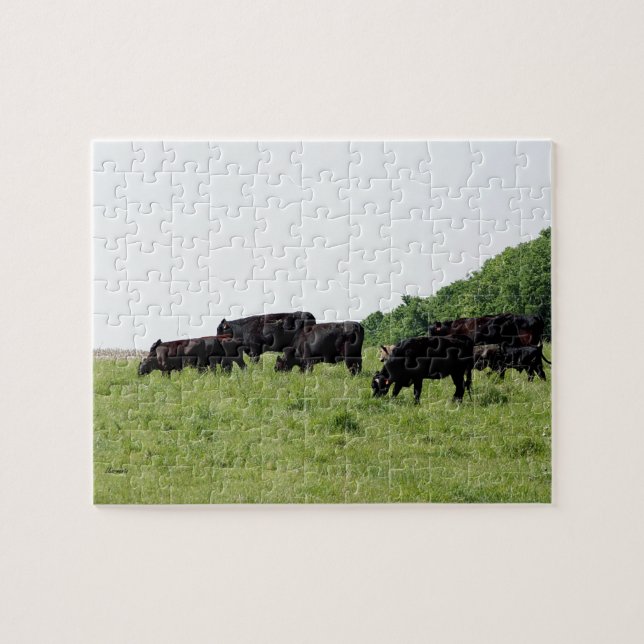 Puzzle Bétail Angus noir (Horizontal)
