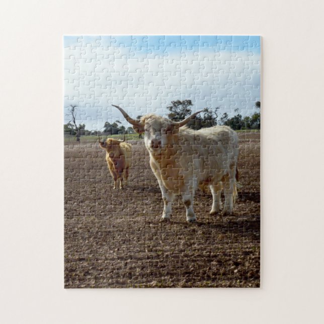Puzzle Bétail sur la perte : Highland Cows Blé Heist (Vertical)