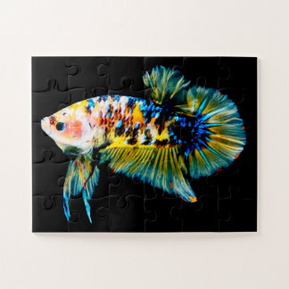 Puzzle Betta Fish Blue et Gold