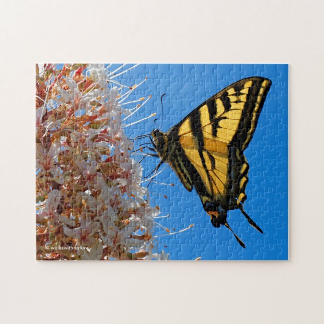 Puzzle Beurre de queue de tigre occidental sur le Buckeye (Horizontal)
