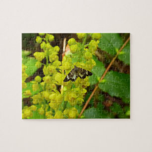 Puzzle Beurre de séquoia et Fleur sauvage