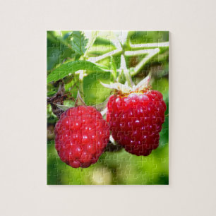Puzzle Beurre mûre photo Framboises framboises