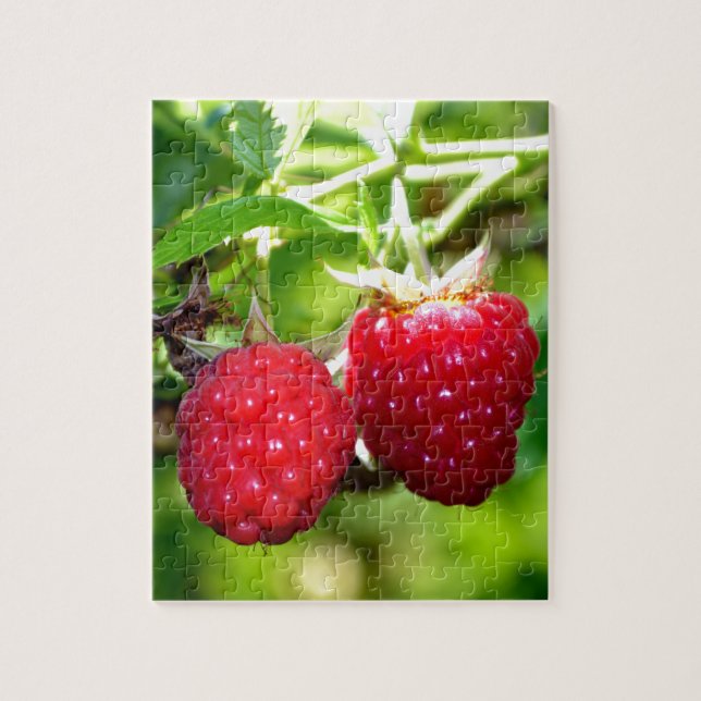 Puzzle Beurre mûre photo Framboises framboises (Vertical)