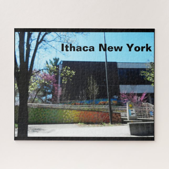 PUZZLE BIBLIOTHÈQUE ITHACA NEW YORK (Horizontal)