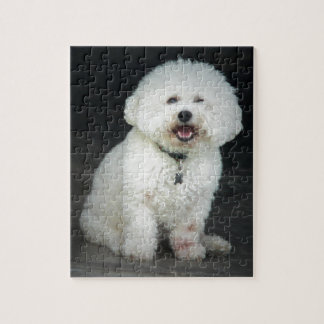 Puzzle Bichon