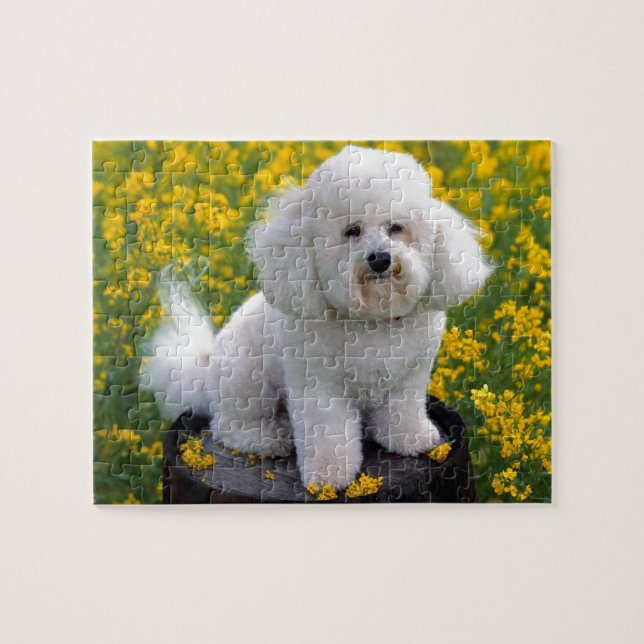 Puzzle Bichon Frise (Horizontal)