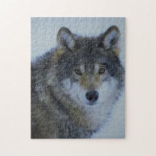 Puzzle Big Beautiful Grey Wolf in the wild 